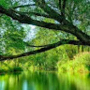 Meet your Posher, Harleigh